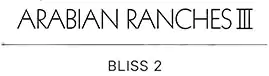 Bliss 2