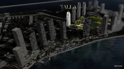 Talea photo 10