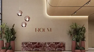 Holm One photo 3