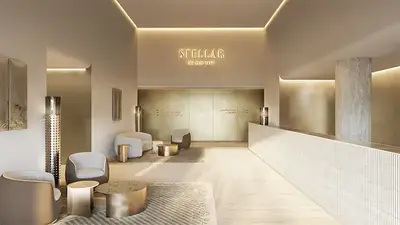 Stellar photo 12